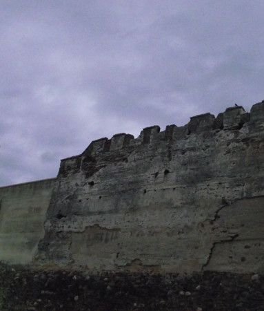 Castillo Sohail Fuengirola trasera